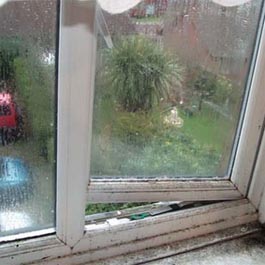 Condensation and Dampness